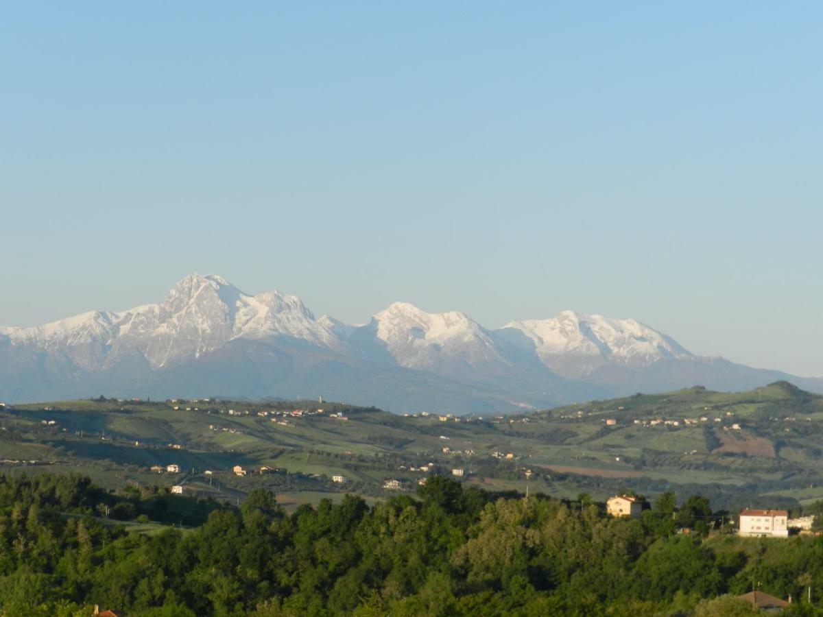 Il Gruccione Bed & Breakfast Sant'Omero Екстериор снимка