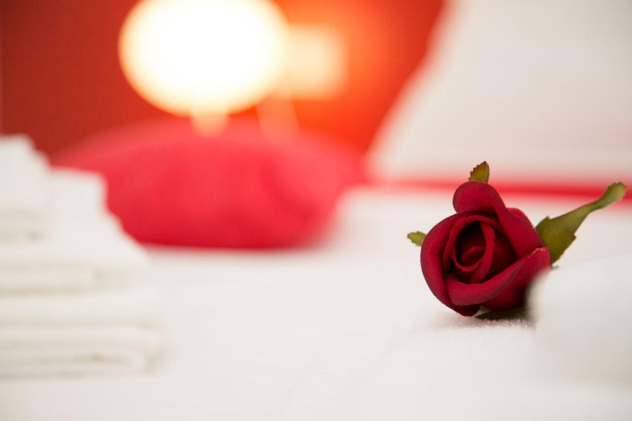 Il Gruccione Bed & Breakfast Sant'Omero Екстериор снимка